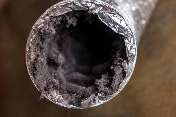 Best Air Vent Cleaning Services  in Pottsville, AR